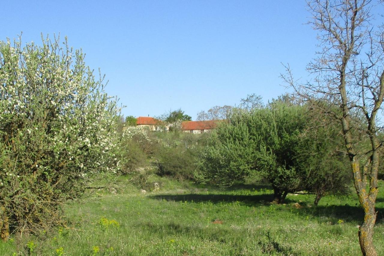 Stone House In A Quiet Landscape, Leonidion Leonídion Exterior foto