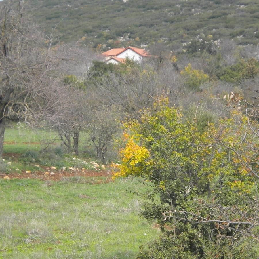 Stone House In A Quiet Landscape, Leonidion Leonídion Exterior foto
